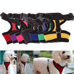 Pet Harness collar