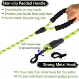 Nylon Training Dog Leash Webbing Recall