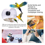 Transparent Bird Feeder With Camera Smart