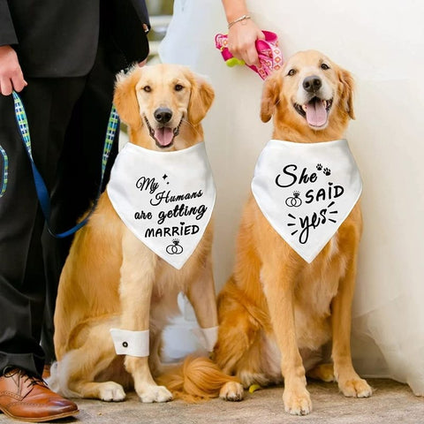 Wedding Party Pet Dog Bandana