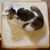 Creative Pet Toast Bread Mat Square Removable