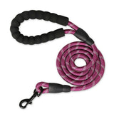 Nylon Training Dog Leash Webbing Recall